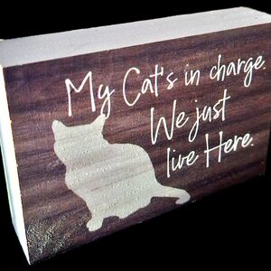 Cats rule boys drool